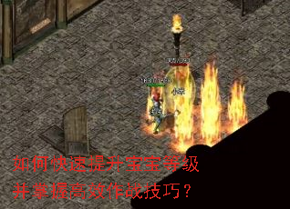 ��ο������������ȼ������ո�Ч��ս���ɣ�