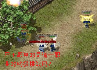 ʬ��������ǵ�ʿְҵ���ռ���ս��