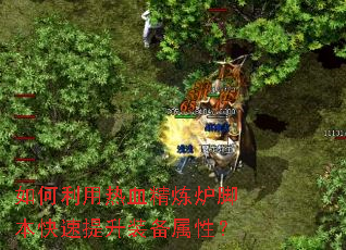 ���������Ѫ����¯�ű���������װ�����ԣ�