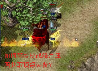 ��θ�Ч��ս���ׯ԰��ȡ����װ����